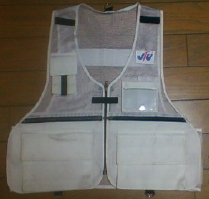 b1